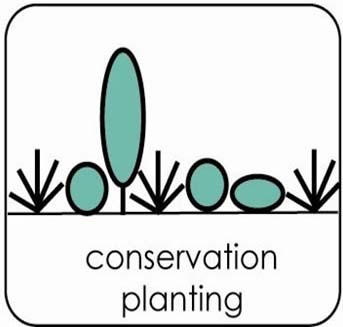 conservation planting logo