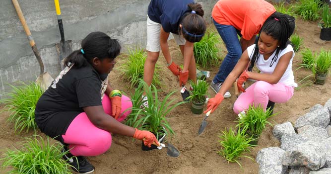 Burnt Mill Creek volunteers plant rain garden