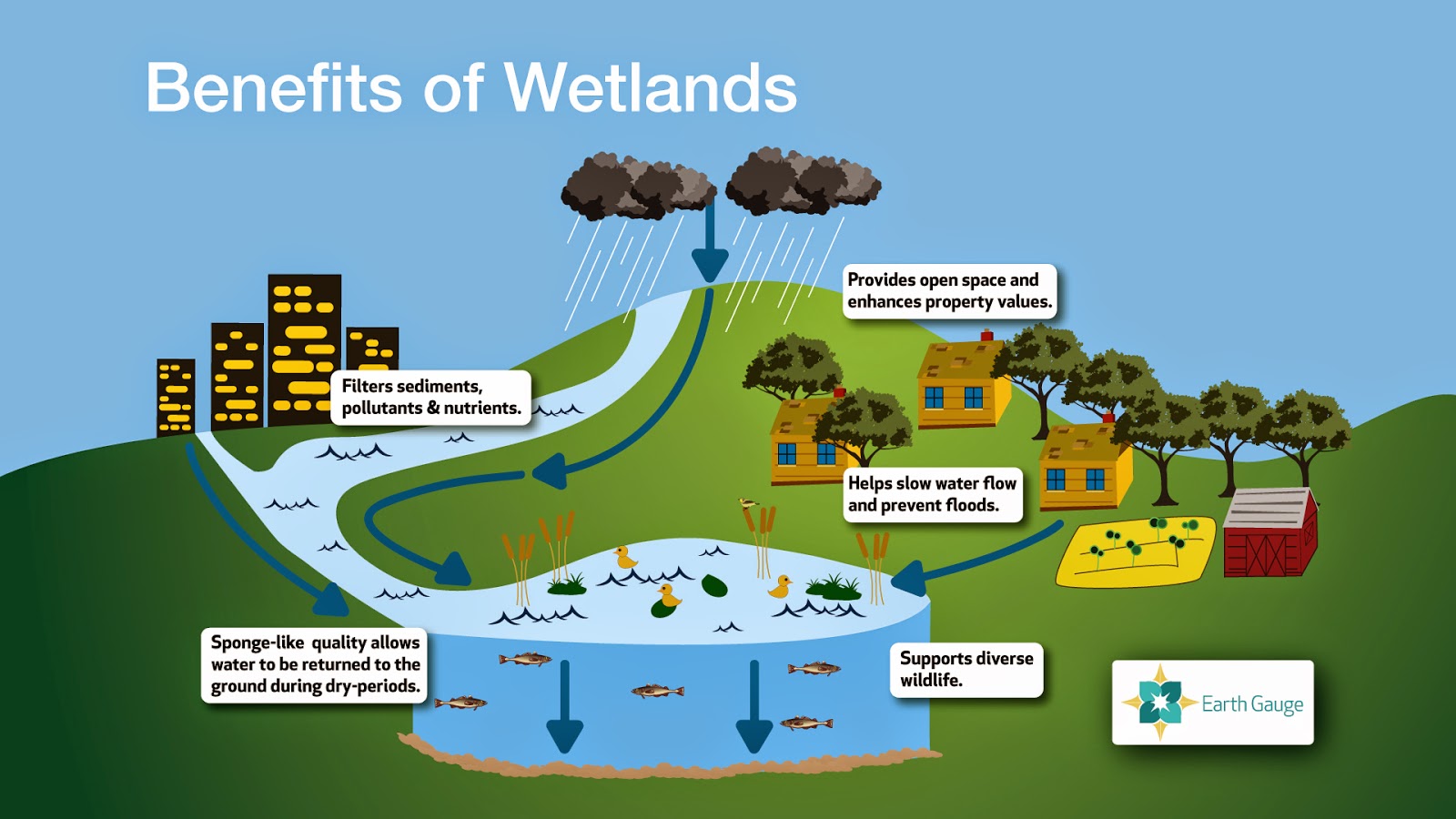 wetlands