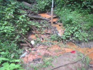 In Greenville, North Carolina, a seep contaminated by leaking petroleum tanks flows into a stream.