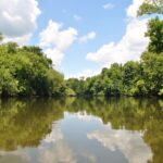 Cape Fear River