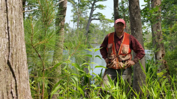 Researcher stands and poses in a green wooded area with wetland in the distance.