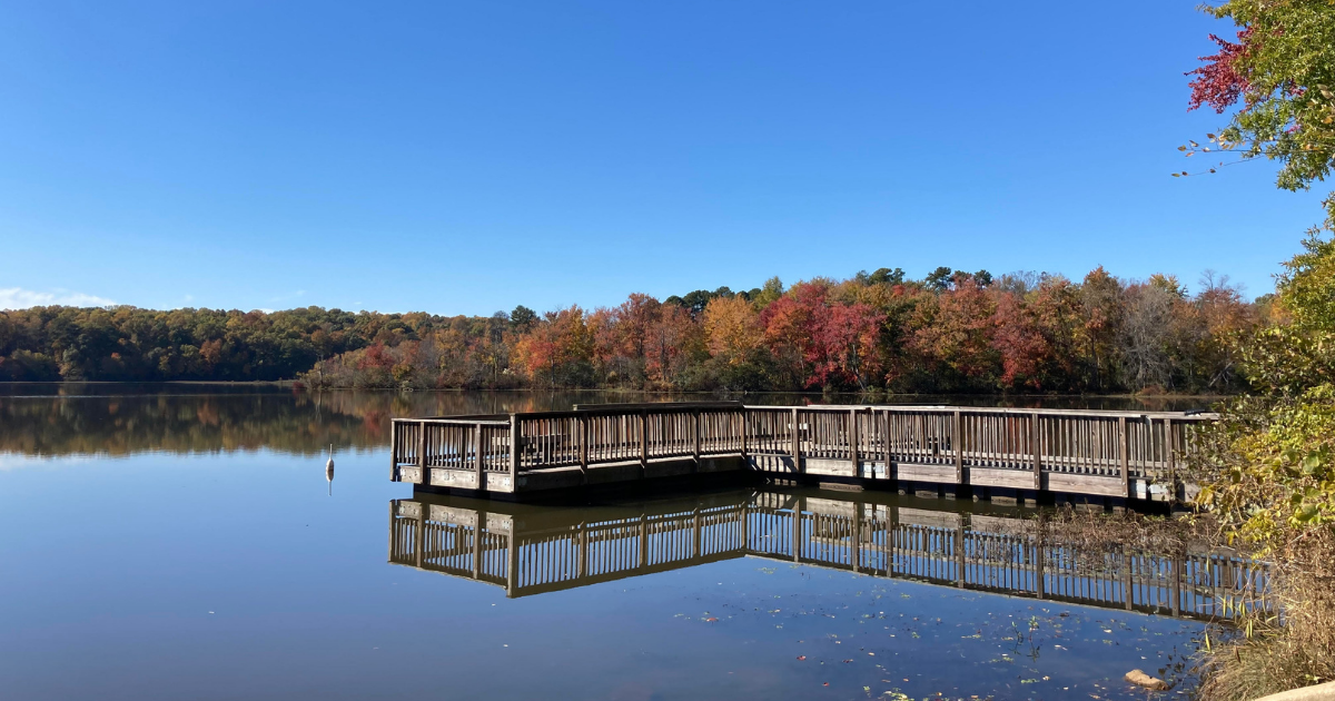 Aerial view of Lake Norman near Jetton Park in Cornelius.