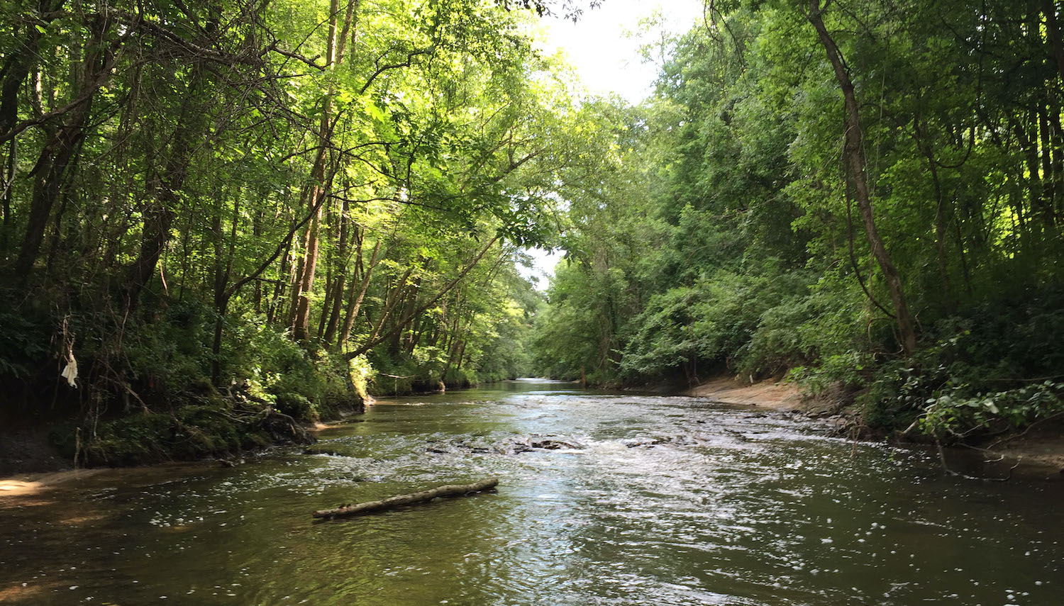 Ellerbe Creek, a creek that runs through Durham, North Carolina, not far from Duke University, where Gray conducted his lab work