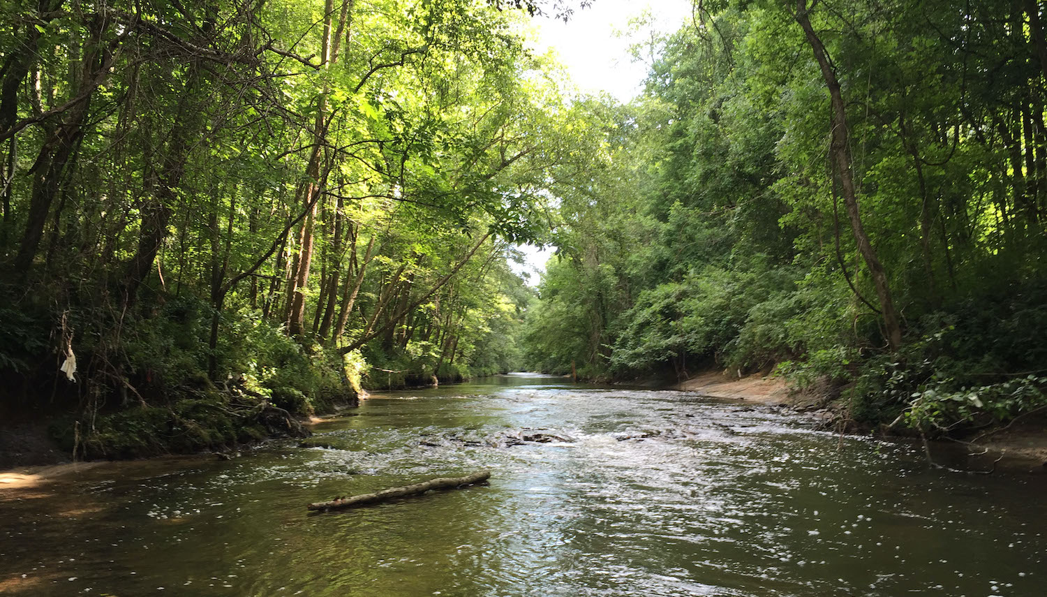 Ellerbe Creek, a creek that runs through Durham, North Carolina, not far from Duke University