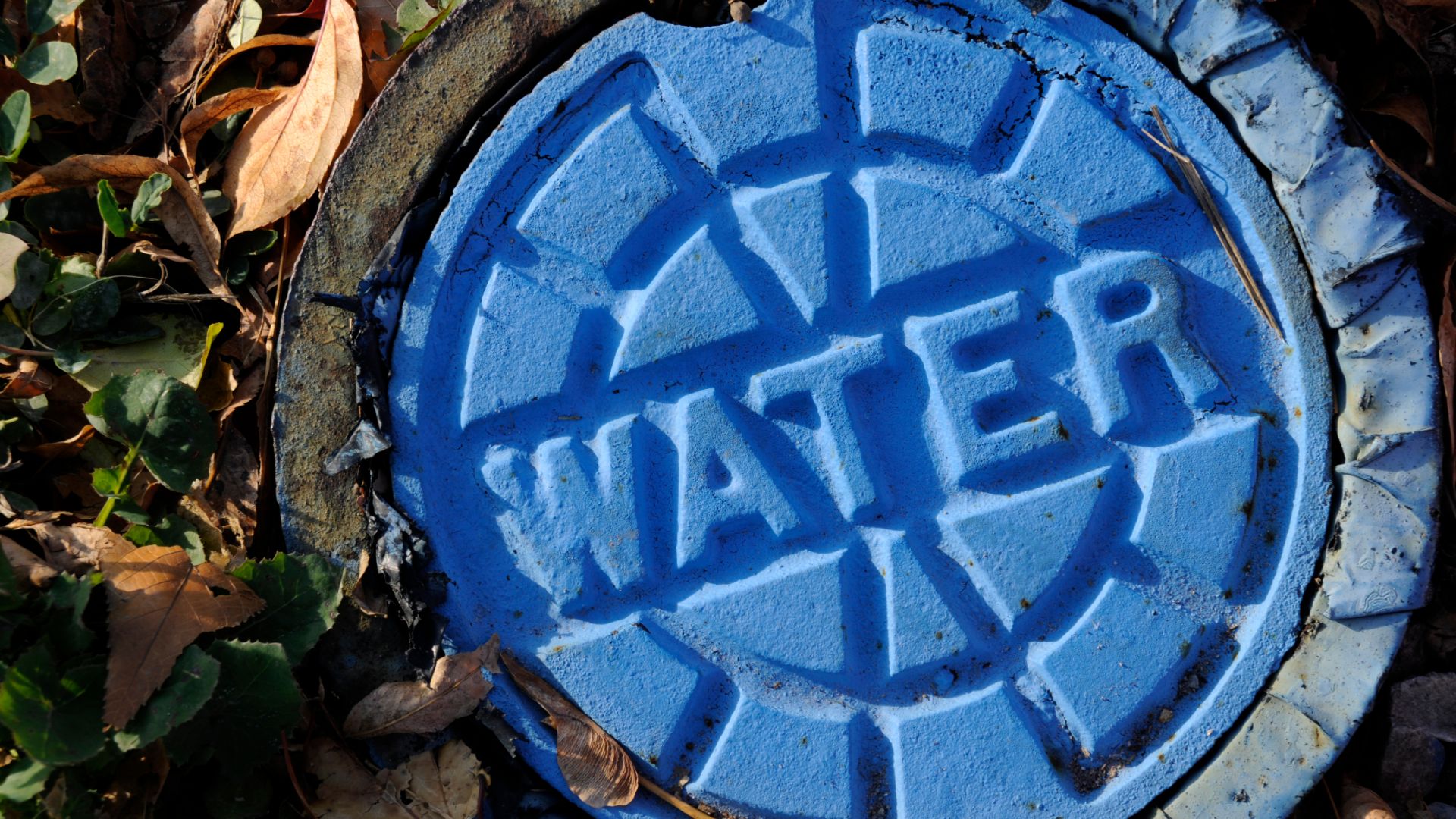 Bright blue water main cap surrounded by leaves and grass reads "WATER"