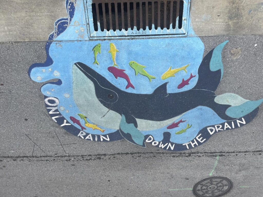Storm drain art featuring a whale and the words "only rain down the drain".