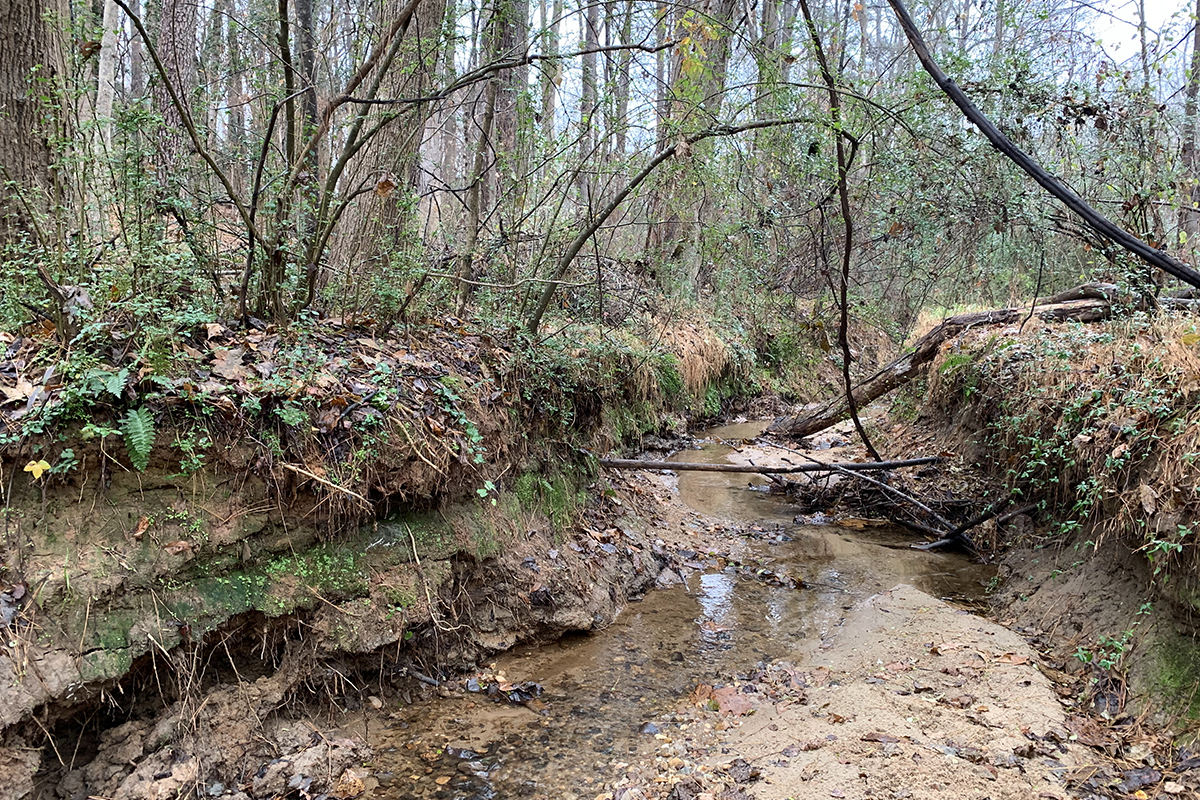 A section of Rochester Heights Creek