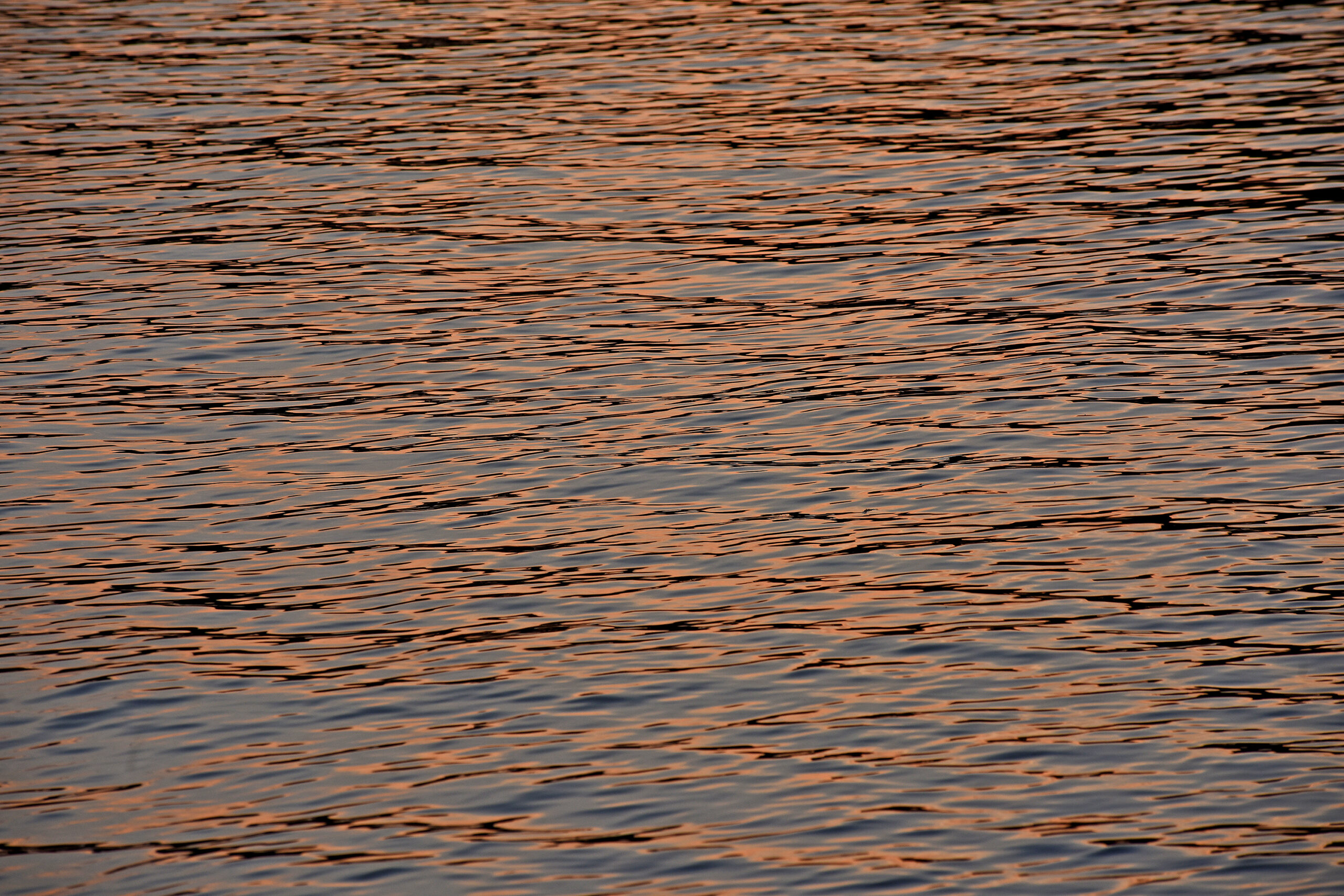 Jordan Lake at sunset